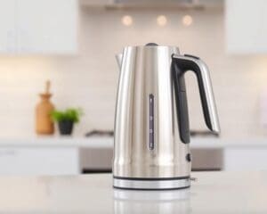 ¿Cómo elegir un hervidor de agua rápido?