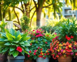 plantas para macetas